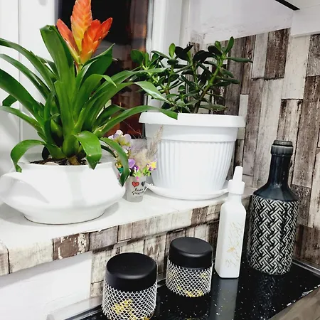 Διαμέρισμα 05 Center *